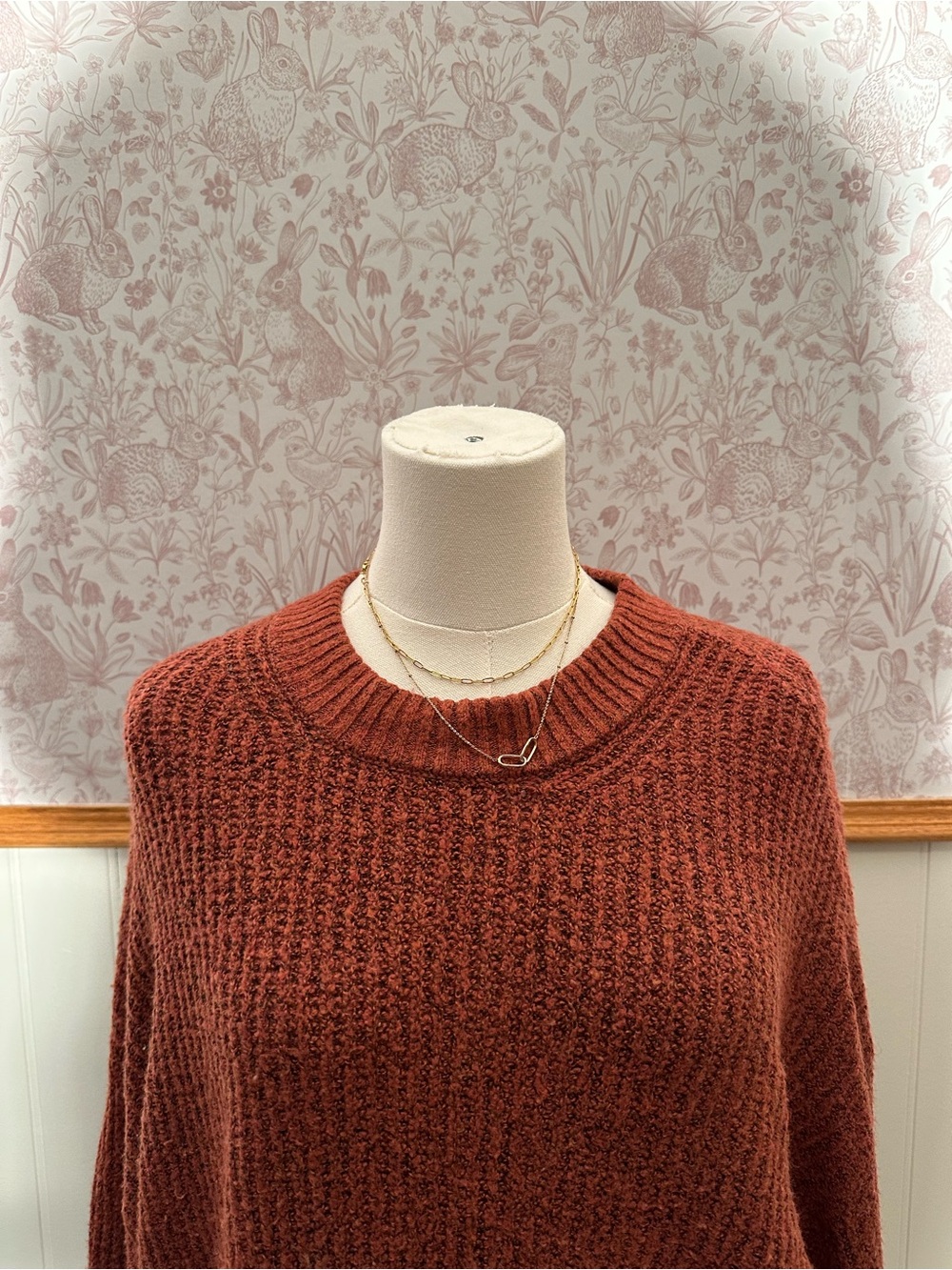 American Eagle Outfitters Cozy Rust Crewneck Sweater - Picture 3 of 7